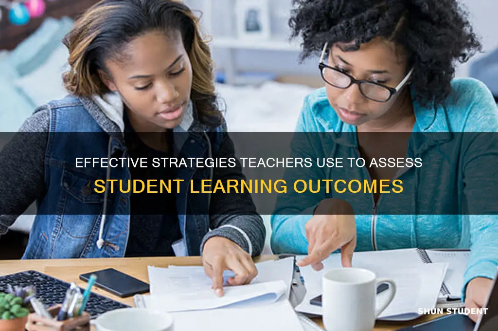 how the teacher assesses student learning
