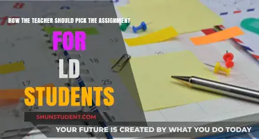 Choosing Assignments for LD Students: A Teacher's Guide to Success
