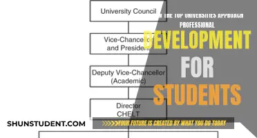 Unveiling the Secrets: Top Universities' Strategies for Student Professional Growth