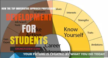 Elite Universities' Strategies for Student Professional Development