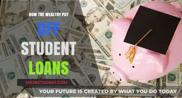Student Loan Strategies of the Wealthy