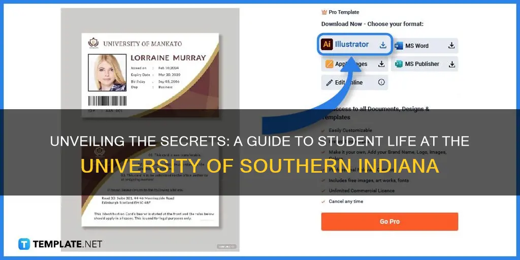 how to a student id university of southern indiana