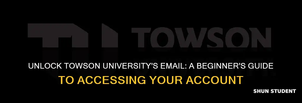 how to access your towson university student email