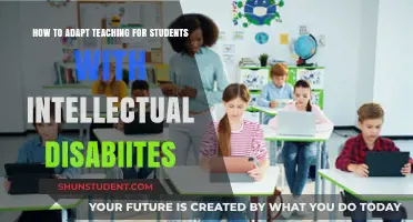 Inclusive Strategies: Adapting Teaching for Students with Intellectual Disabilities