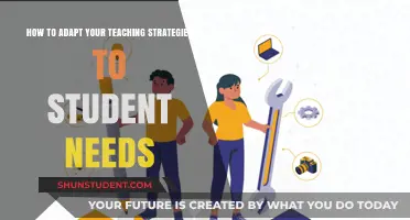 Tailoring Teaching Strategies: Meeting Diverse Student Needs Effectively