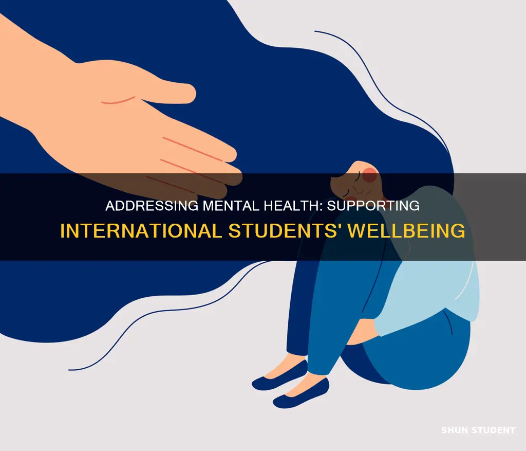 how to address mental health with international students