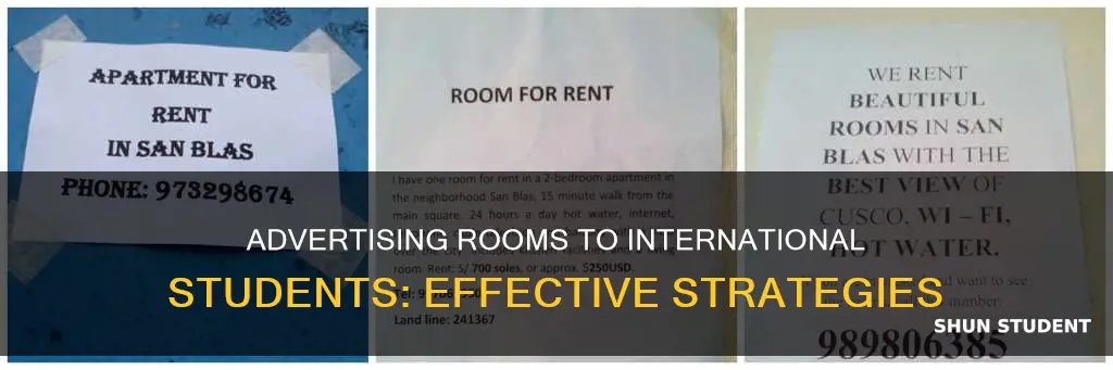 how to advertise a room for rent to international students