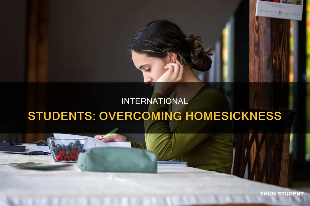 how to advice international student on homesickness