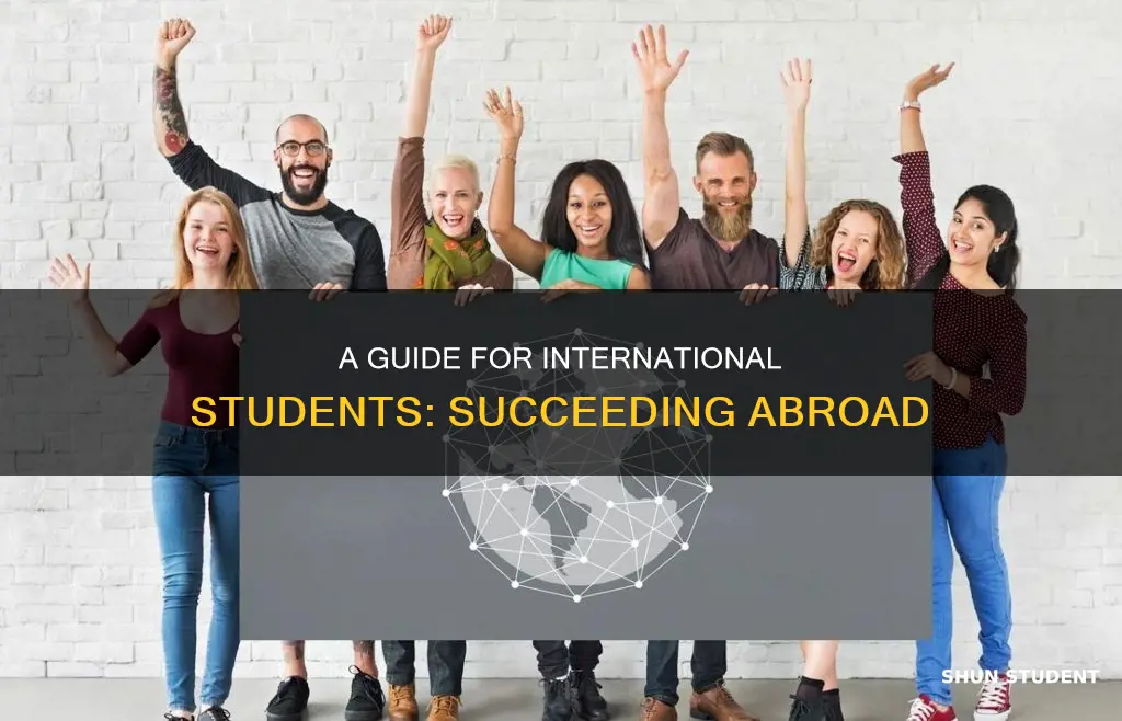 how to advice international students
