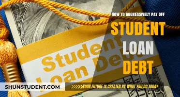 Eradicating Student Loan Debt: Fast and Furious Strategies