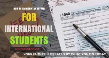 Amending Tax Returns: A Guide for International Students