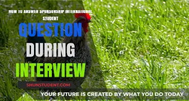 Sponsorship Queries: Tips for International Students