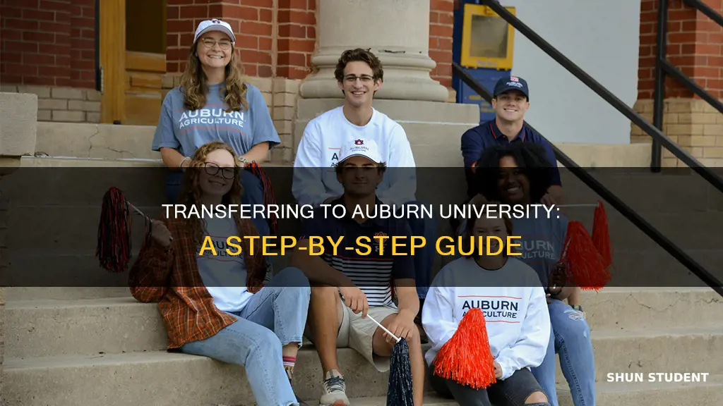 how to application as a transfer student for auburn university