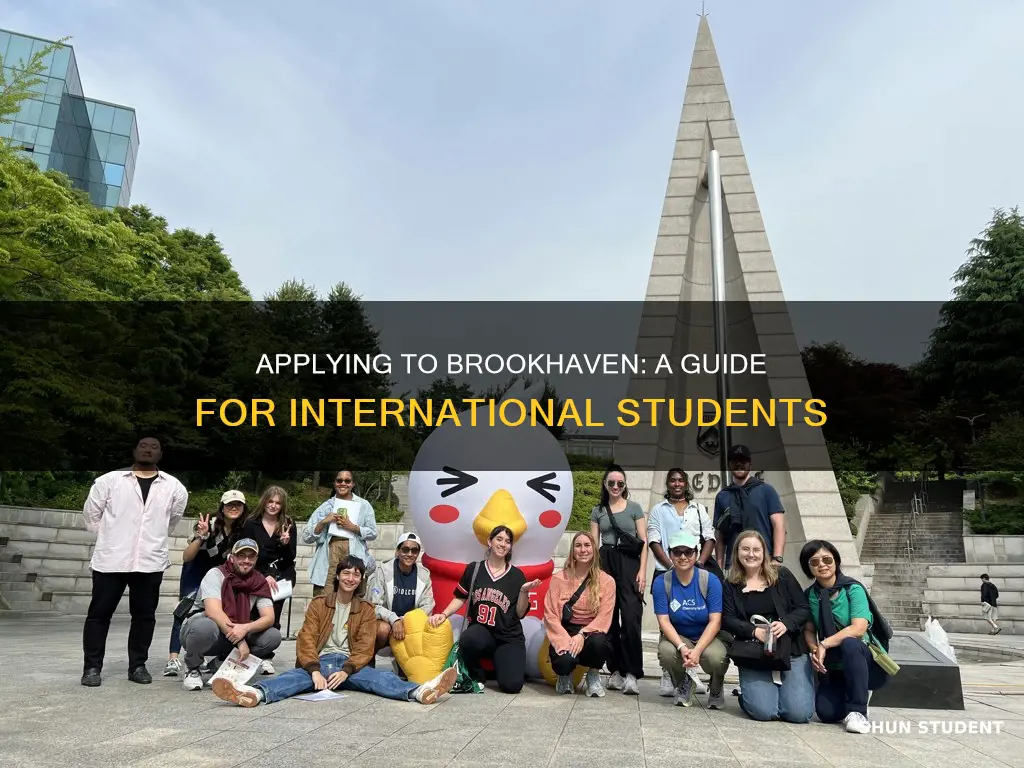 how to apply at brookhaven community college for international students