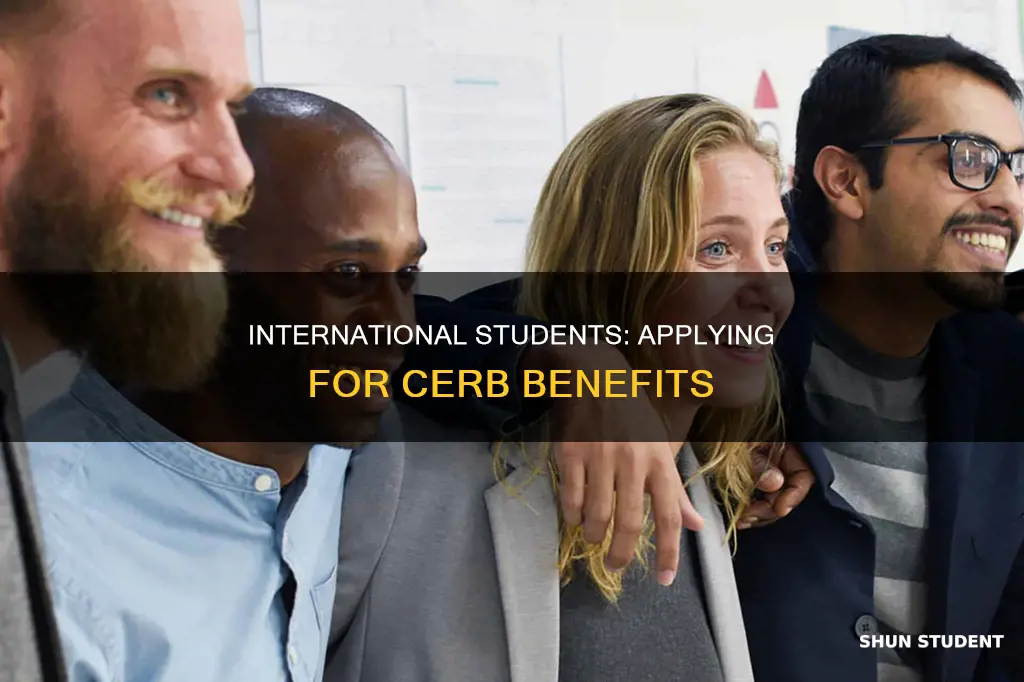 how to apply cerb for international students