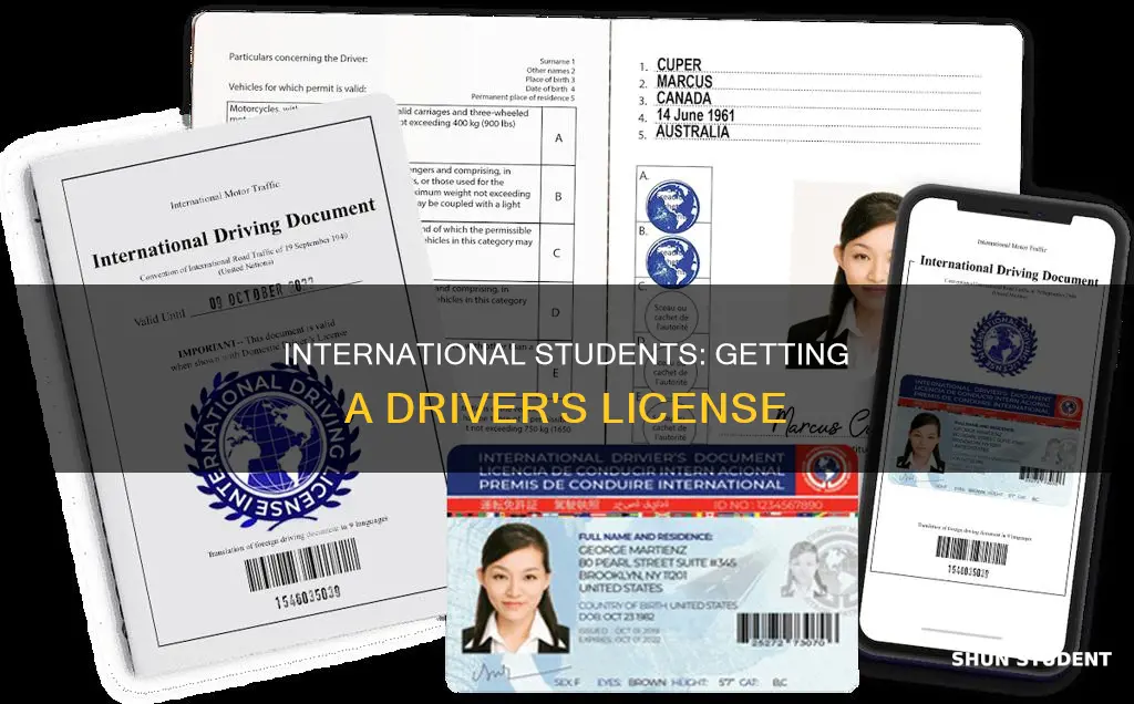 how to apply dmv driver license as international student