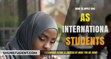 Applying for a DVC: A Guide for International Students