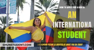 International Students: Getting Your SSN Easily