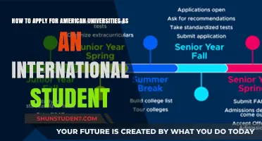 Applying to American Universities: A Guide for International Students
