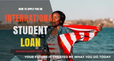 International Student Loans: Application Guide for Beginners