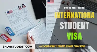 International Student Visa: Application Process and Requirements