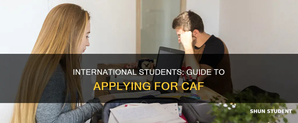 how to apply for caf as an international student