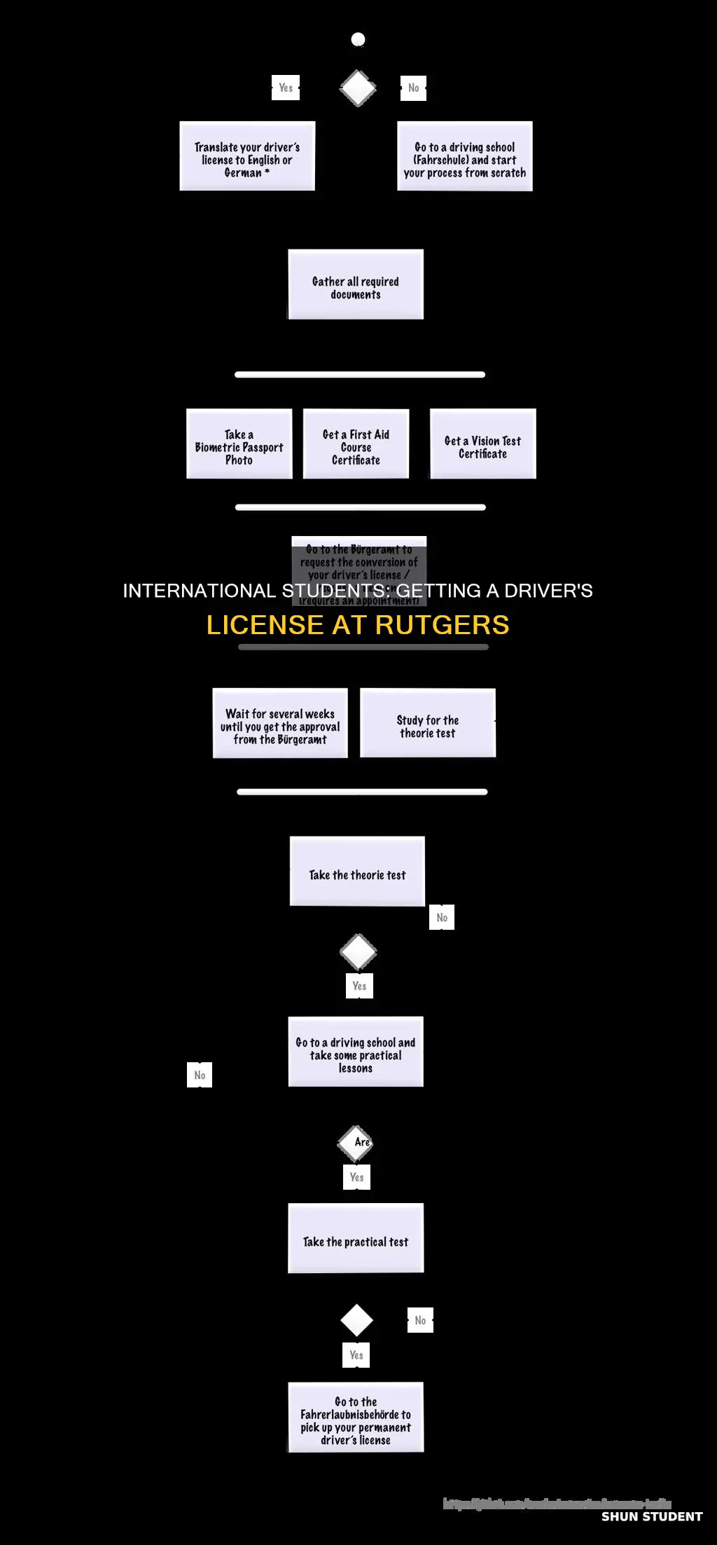 how to apply for drivers license rutgers international student