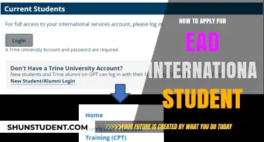International Students: EAD Application Process Simplified