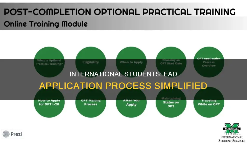 how to apply for ead international student