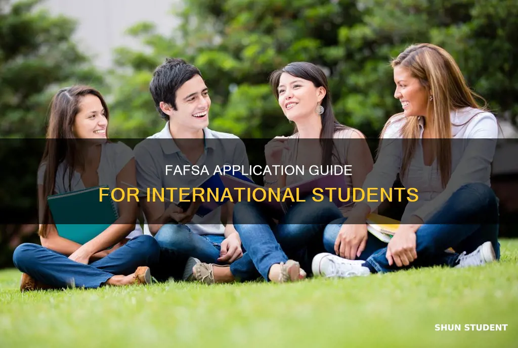 how to apply for fafsa international student