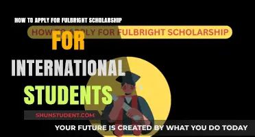 Fulbright Scholarship Application Guide for International Students
