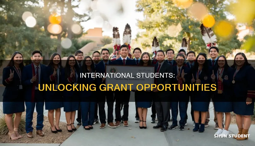 how to apply for grants for international students