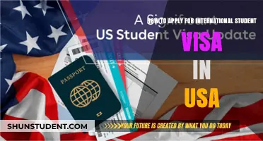 International Student Visa: Application Guide for the USA