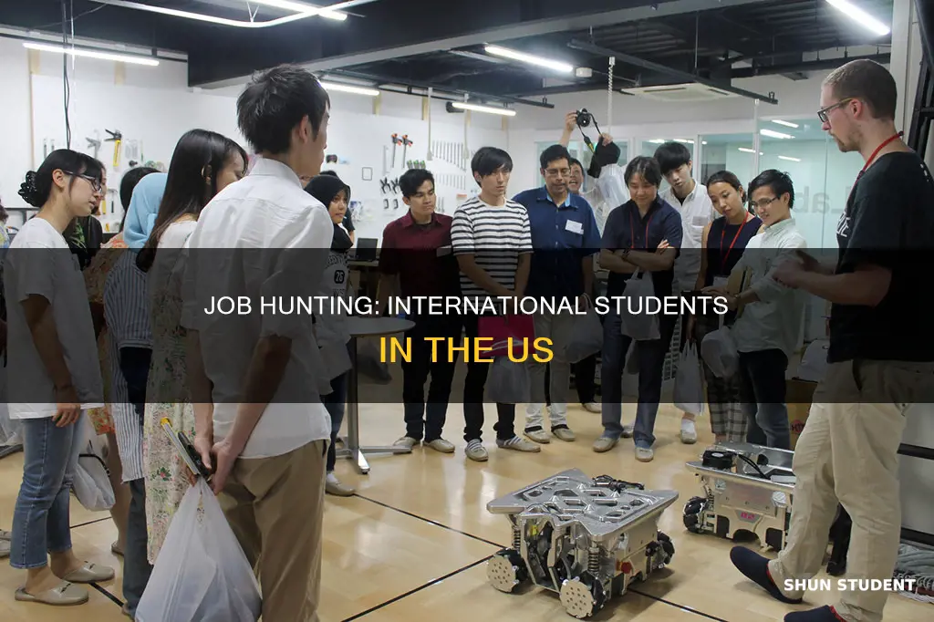 how to apply for jobs international students in us