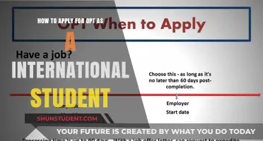 OPT Application Guide for International Students