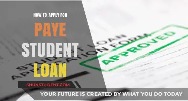 Student Loan Application: PAYE Simplified