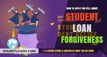 Pell Grant Loan Forgiveness: Step-by-Step Application Guide for Students
