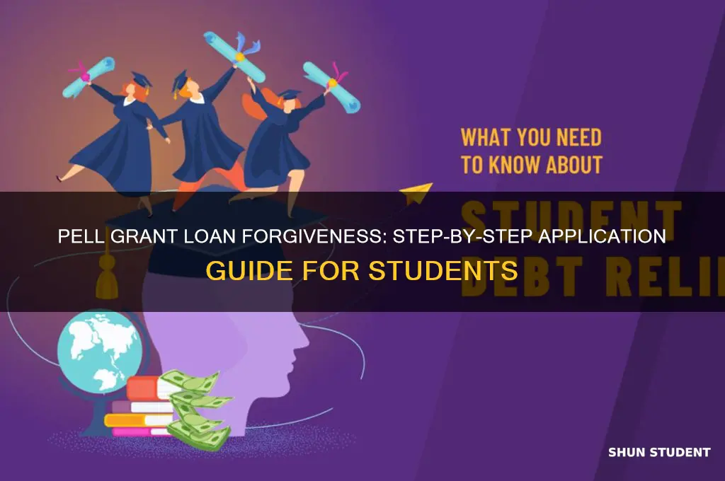 how to apply for pell grant student loan forgiveness