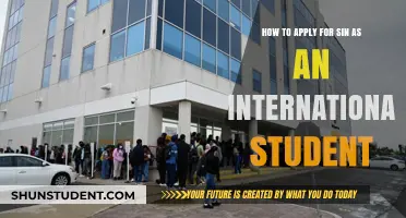 Applying for SIN as an International Student: A Guide