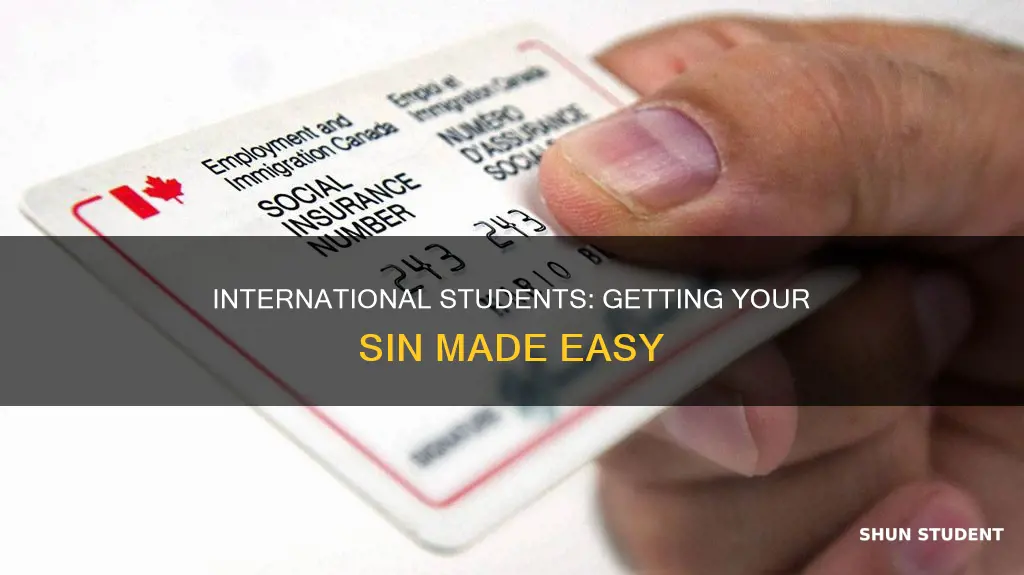 how to apply for sin number for international students