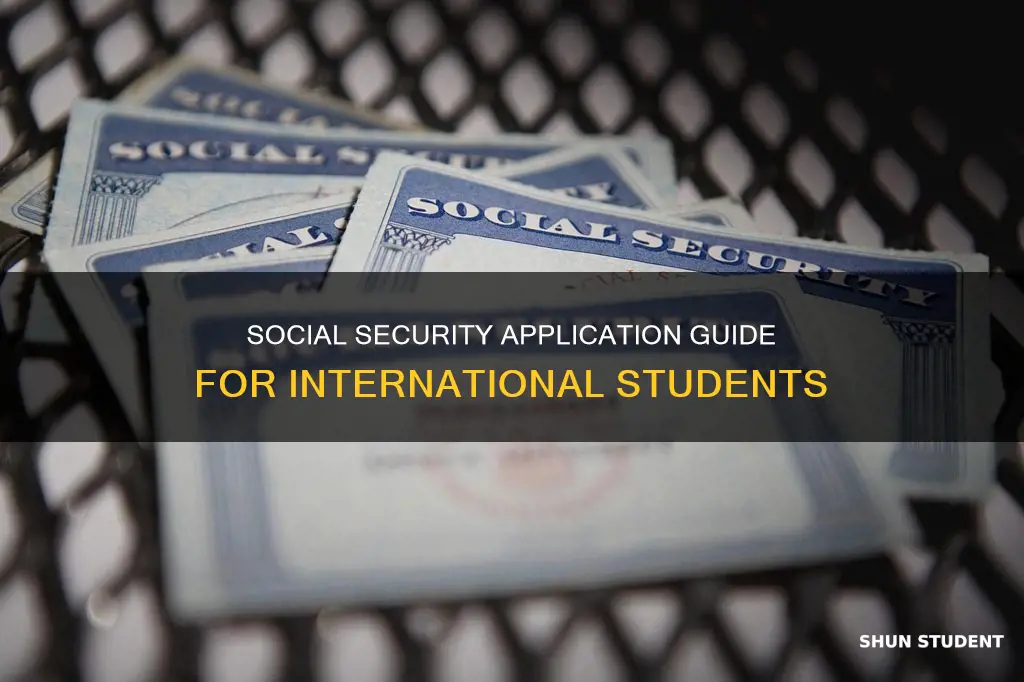 how to apply for social security as an international student