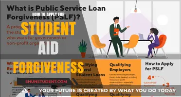 Unlock Student Aid Forgiveness: A Step-by-Step Application Guide