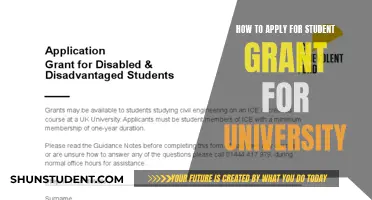 Unlocking University Dreams: A Guide to Student Grant Applications