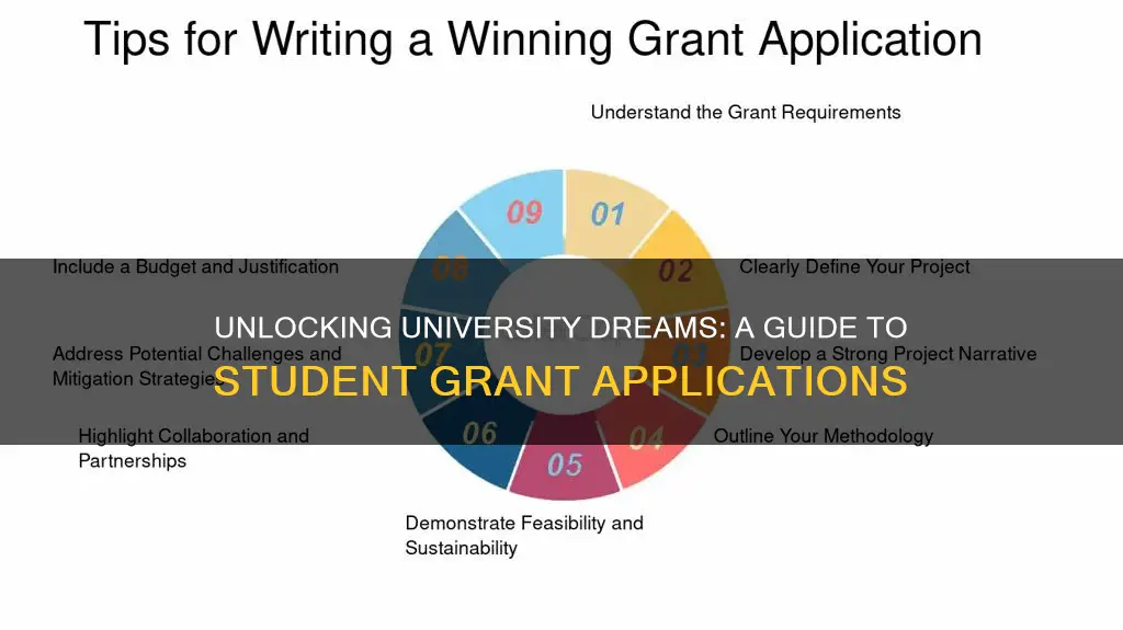 how to apply for student grant for university