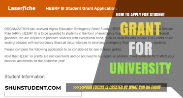 Student Grants: University Funding Guide