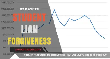 Step-by-Step Guide to Applying for Student Loan Forgiveness Programs
