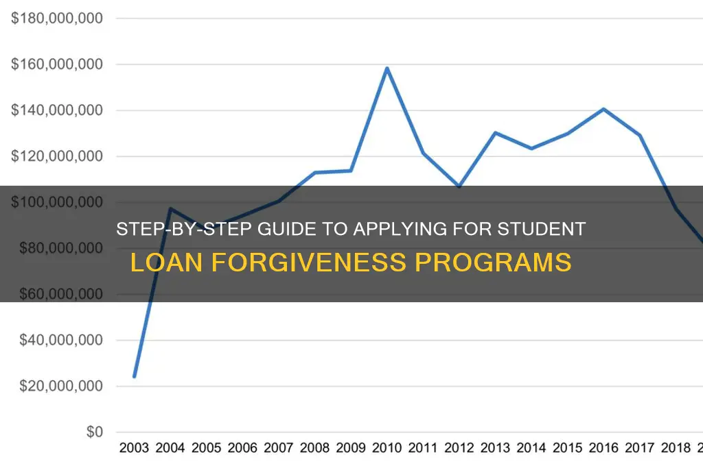 how to apply for student lian forgiveness