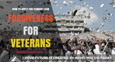 Veterans Guide: Applying for Student Loan Forgiveness Programs