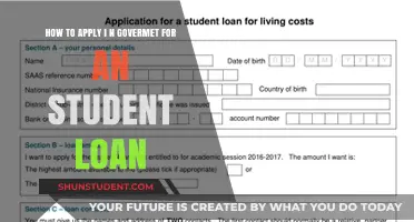 Navigating the Government Student Loan Application Process: A Step-by-Step Guide