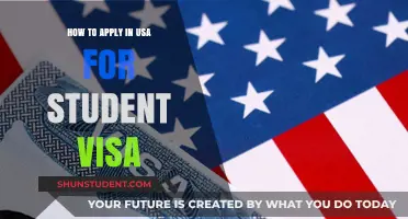 Navigating the Student Visa Application Process for the USA